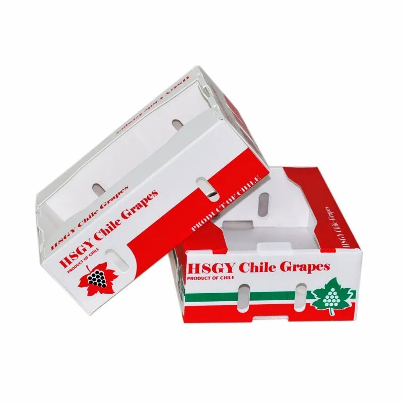 普通紙箱容易破損？泡沫箱太占空間？怎么解決果蔬海鮮物流運(yùn)輸問題