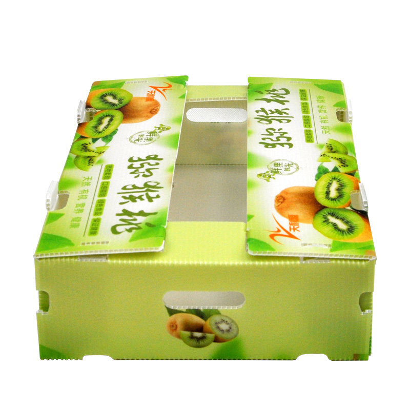 中空板獼猴桃箱.jpg