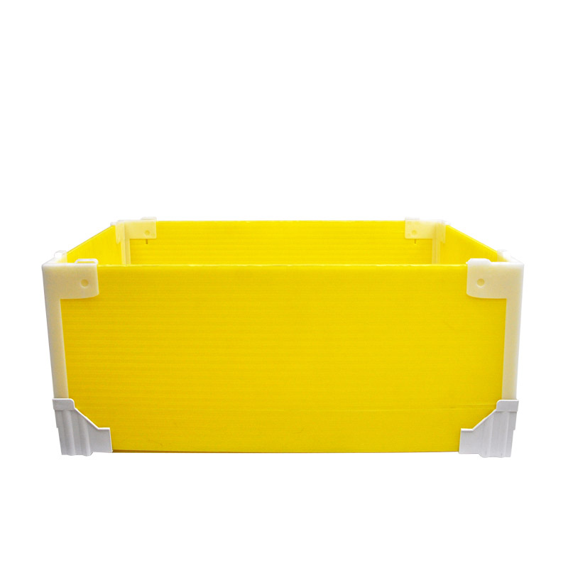 黃色3-(2).jpg 黃色3-(2).jpg